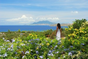 NevisImages_105