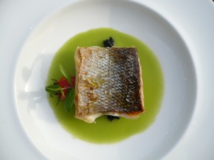sea bass