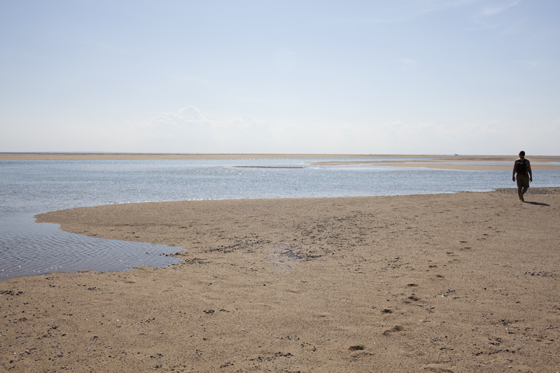 hatches harbor Michael Nassar