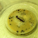 chestnut, kaffir lime veloute, poblano pepper